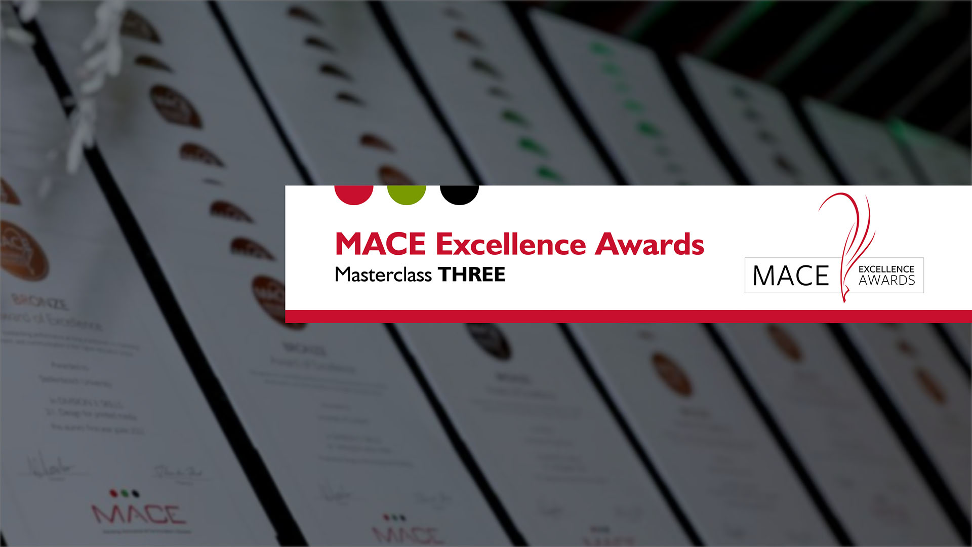 MACE Excellence Awards Masterclass #3